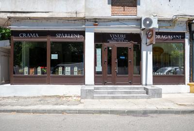 CRAMĂ PREMIUM DE VÂNZARE -60 HA- CONAC ISTORIC- PODGORIA DRĂGĂȘANI - 20