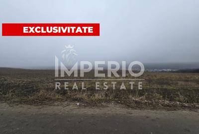 Exclusivitate 4HA teren pentru investitie! - 1