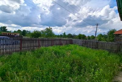 Casa Moraresti 3 camere și sau teren intravilan 9092 mp - 14