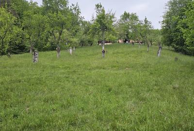 Domeniu Premium 1.7 Ha Intravilan Zărnești | Lizieră Pădure | Ideal Resort - 4