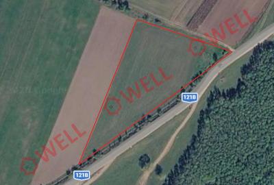 Teren agricol extravilan de 10000 mp, în Arcuș