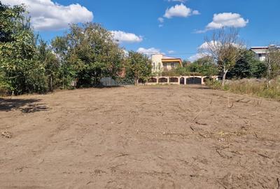 Teren Premium în Pasărea – 1.013 mp | Deschidere 22m | Oază de liniște - 1