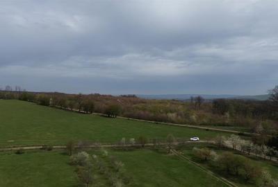 Teren intravilan 5800 mp Mitocasi - Suceava! - 7