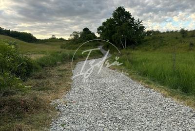 Teren de vanzare intre Talmaciu si Sadu - 6
