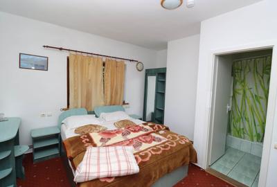 Vila turistica de vanzare in Zamora, Busteni - 2