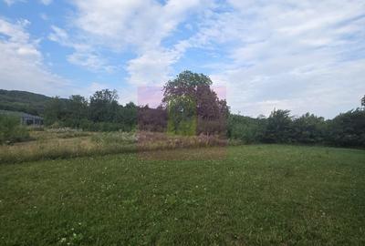 Teren Construcții intravilan de 650 mp, în Brebu
