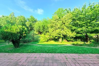 Casă individuală în Bucium - Hanul Dacilor, 342 mp, 1.140 mp teren - 19