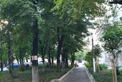 Vatra Luminoasa - Piata Iancului, apartament cu centrala proprie - 2