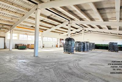 Complex imobiliar format din cladiri si constructii industriale+teren intravilan - 28
