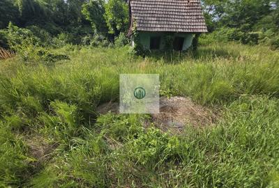 Casa demolabila + teren 1.076mp | Front 50 ml | Paulis Soimus jud HD - 7