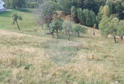 Teren de vânzare | Măgura, Brașov | Oportunitate de Investiție - 2