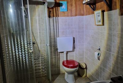 CABANĂ DE VÂNZARE ÎN ROMULI, BISTRIȚA-NĂSĂUD - 18