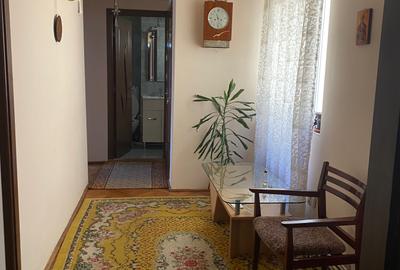 Apartament 3 camere Manastur, str.Padin, zona Piata Flora, decomandat, et.2/4 - 7