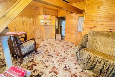Casa spatioasa cu teren 739 mp in zona Mehala - 18