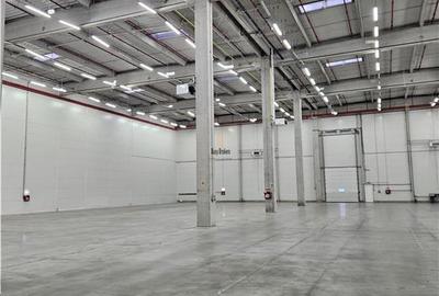 Spatii Industriale - 9500 mp - Logistica - Productie - Depozitare - Distributie - 17