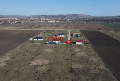 Teren Construcții intravilan de 600 mp, în Sebeș