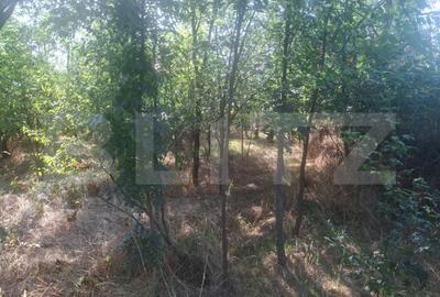 Teren Construcții extravilan de 5000 mp, în Mătăsaru