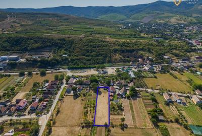 Teren in localitatea Covasant de vanzare - 5