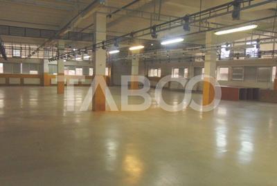 Hala generoasa amenajata pretabila productie Sibiu - 1