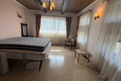 Casă spațioasă și curte generoasă, Titi Aur- destinații multiple - 23