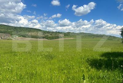 Teren Construcții extravilan de 29000 mp, în Exterior Sud