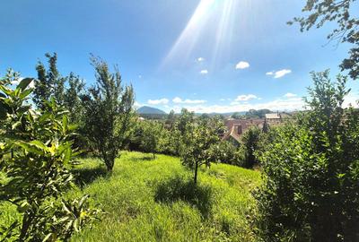 Casă cu grădină în Dumbrăvița – la doar 25 km de Brașov - 2