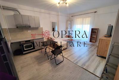 Apartament 2 camere, open space, de inchiriat, zona Podul de Fier -Moara de Vant - 4