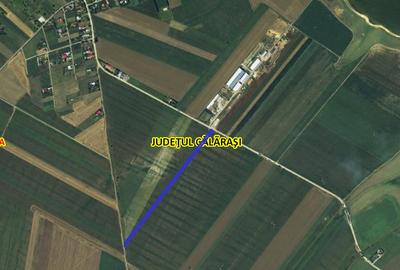 Teren Intravilan 10.000 mp Fundulea (Gostilele) – Deschidere la DJ 402 - 1