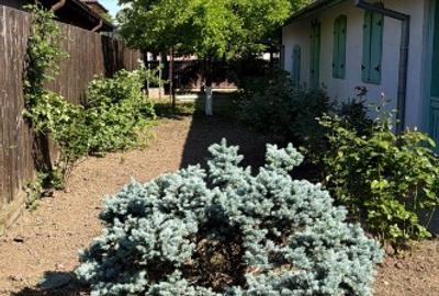 Casa traditionala de vânzare sat pasarea ,Ilfov - 8