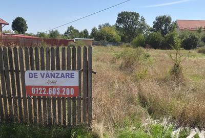 Teren Construcții intravilan de 800 mp, în Moșoaia