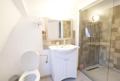 Vanzare apartament cu 4 camere in vila renovata Ultracentral Mitropolie - 9