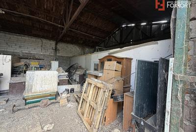 Depozit de vanzare cu suprafata utila de 450 mp - Ortisoara - 3