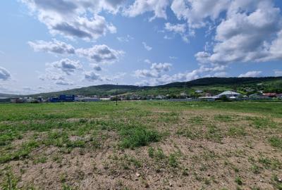 Teren Industrial cu Autorizatie de construire - Soseaua Iasi Tomesti - 7
