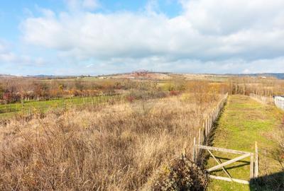 Casă finalizată, 278 mp teren 2305 mp Pleașa, Bucov, Ploiesti - 28