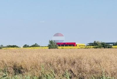 Teren Construcții intravilan de 5200 mp, în Joița