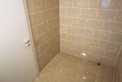Banu Manta, liceu Ion Neculce, de inchiriat apartament la parter + curte! - 9