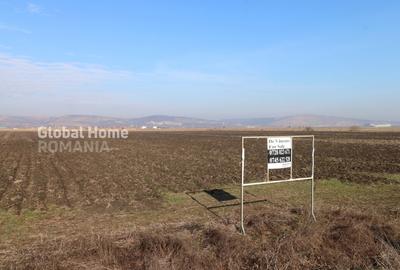 Teren 25.000 Mp-DN 15 Autostrada Transilvania - Mures - 7