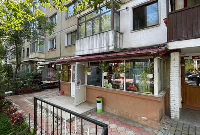 Spațiu comercial, de 50.00 mp, în Podu Roș