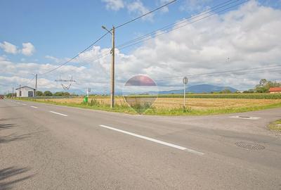 Teren Construcții intravilan de 800 mp, în Stupini