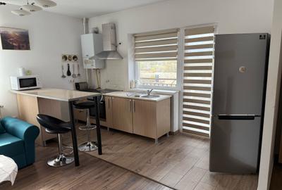 APARTAMENT LUX IN SELIMBAR - 18