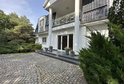 Vila individuala, teren 3000 mp, Iancu Nicolae - 7