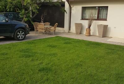 CASA OTOPENI FERME (SCOALA,AFTERSCHOOL,CLINICA) - 5