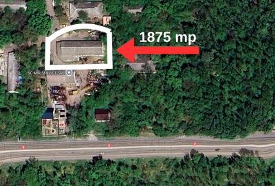 Hala 450 mp in mijlocul padurii Valu lui Traian cu teren 1875 mp - 9