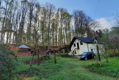 Cabana 4 camere zona Valea Avrigului - 22