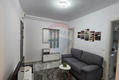 Apartament cu 1 camere de închiriat în zona Darmanesti - 10