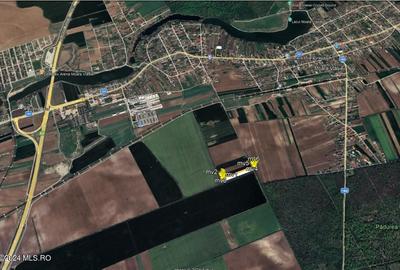 Moara Vlasiei - langa Padurea Biglaru, 11.884 mp, deschidere 40 ml - 14