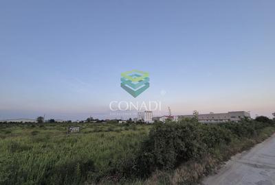 Teren de vanzare - pentru hale industriale - Clinceni - Bragadiru - 3