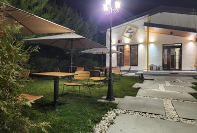 Spatiu de inchiriat - Comuna Berceni - 27