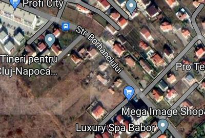 Teren Construcții intravilan de 2506 mp, în Borhanci