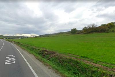 Teren extravilan 42000MP Seica Mare - Sibiu - 2